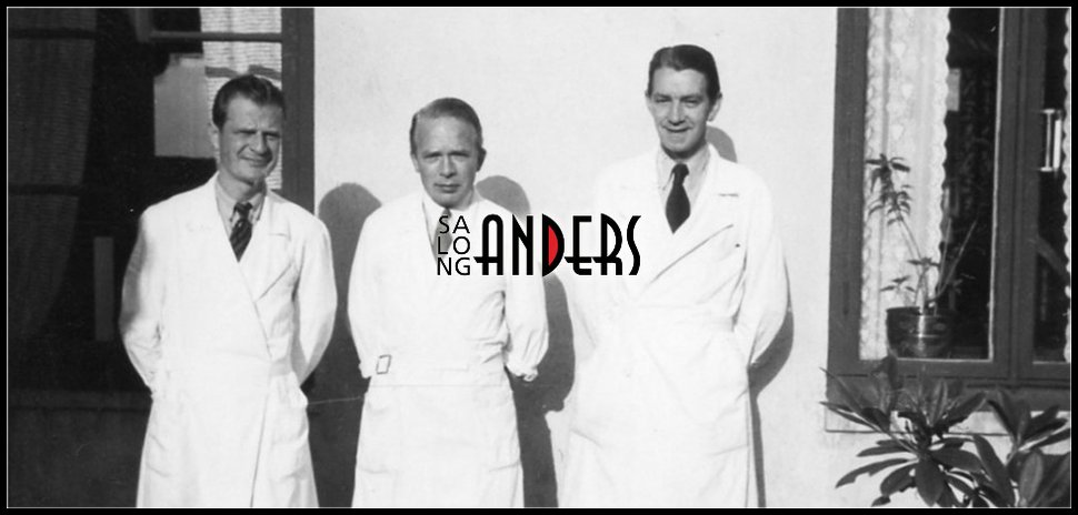 Stor stämningsbild Salong Anders