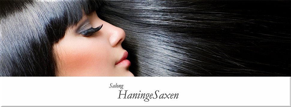 Stor stämningsbild Salong Haningesaxen