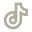TikTok Logo