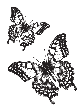 vacker center syd fjärilar butik